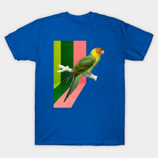 Graffiti Bird T-Shirt